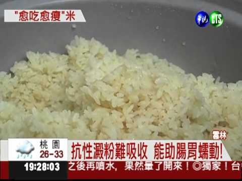 黃金米能減重! 吃1個月瘦5公斤