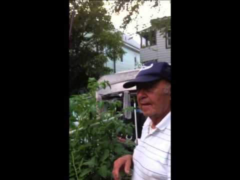 The Tomato Men of Somerville, MA