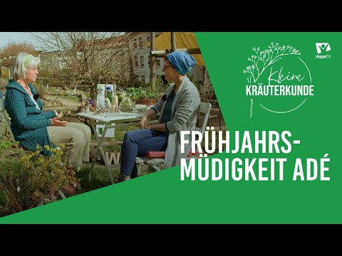 Die Frühjahrsmüdigkeit vertreiben | Kleine Kräuterkunde