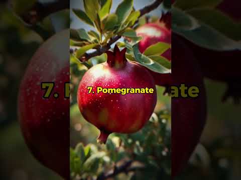 The 10 Foods Prophet Muhammad (SAW) Loved To Eat