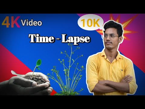 CIGARETTE IN SOIL - 1 YEAR Time Lapse [8K] Video @CrazySabujShort