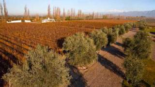 preview picture of video 'OTERO RAMOS Bodega de Familia - Mendoza - Argentina'