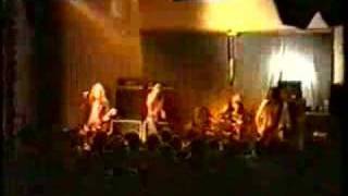 Terrorvision - Discotheque Wreck (Live)