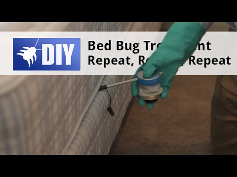  Bed Bug Treat Step 5 Major Pest Guide Video 