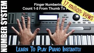 How to Play a Keyboard for Beginner? Learn To Play Piano Instantly