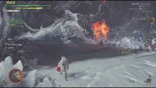 【モンスターハンターワイルズ】☆１０　ゾ・シア