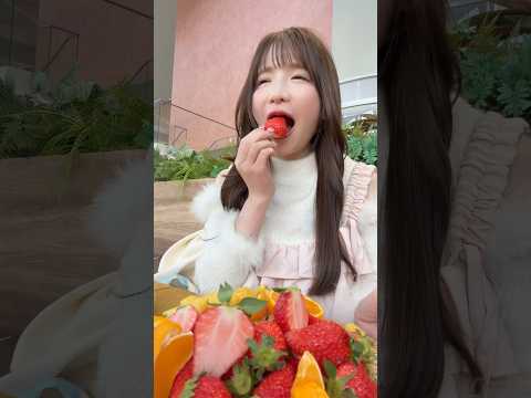 youtube-グルメ・大食い・料理記事2026/02/14 12:00:40