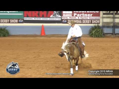 Platinum Vintage and Todd Bergen — 2015 NRHA Derby Open Champions