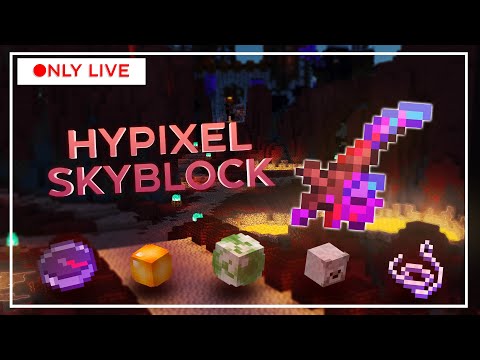 Day 8 on Hypixel Skyblock: Unbelievable Find