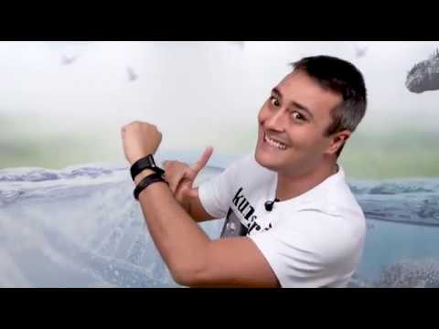 Ciclo Biogeoquimico do Nitrogênio Ju