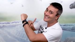 Ciclo Biogeoquimico do Nitrogênio Ju