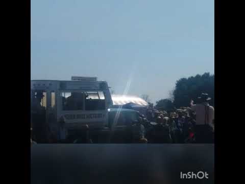 Amateur auctioneers in HORSE PROGRESS DAYS. 2018