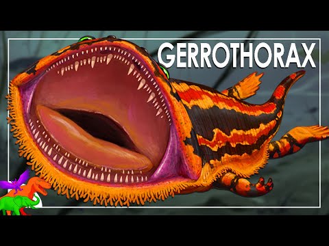 Gerrothorax – Toilet-Seat-Headed Salamander