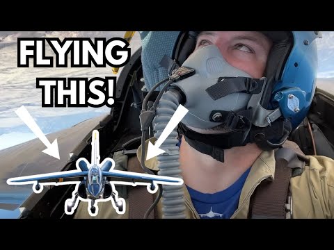 I Flew an Alpha Jet!