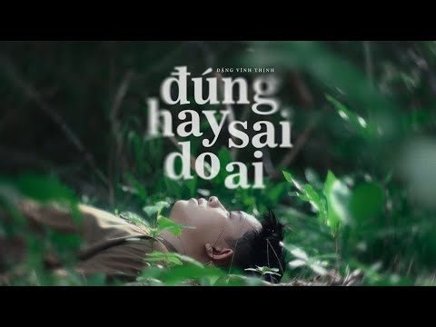 Đúng hay sai do ai - Đặng Vĩnh Thịnh