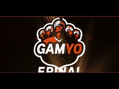 Résumé - Epinal / Angers - match 7 - 20/03/2016