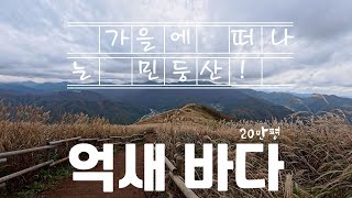 200,000 pyeong Silvergrass Colony_Autumn Mindungsan_Doline | Public Transport Day Trip | TravelKorea | Train Travel