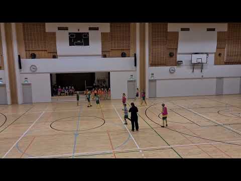 HauPa T1213 Kelt - HauPa P14