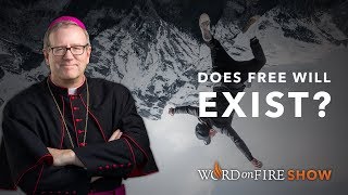 Does Free Will Exist?