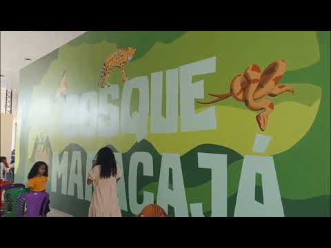 A INAUGURAÇÃO DO TERMINAL RODOVIARIO EM BURITICUPU-MA