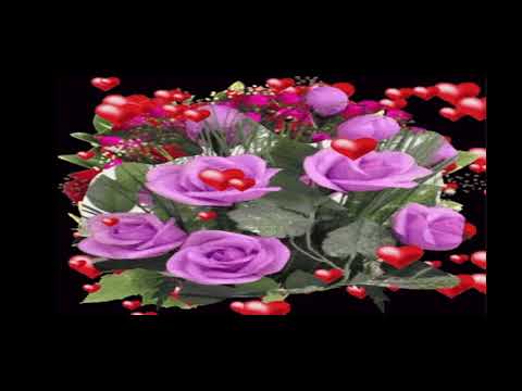 Flowers Blooming Video