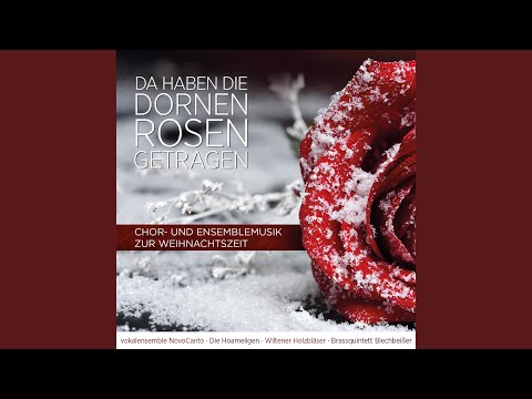 Deutscher Tanz NR. 6