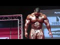 Roelly