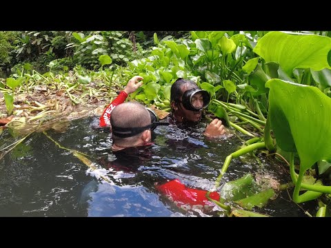 SE02EP85 Part 1 - BALIK ATAKE! Napa LABAN agad sa ILALIM ng Mga WATER LILIES | San Palo CIty, Laguna