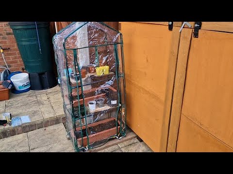 A csigaálló palánta nevelő