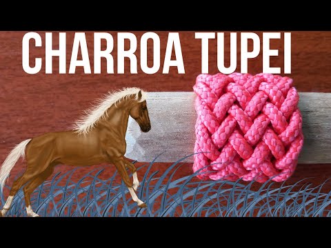 CHARROA TUPEÍ 13 VOLTA, Instagram na descrição 👇