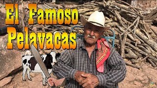 EL PELAVACAS LA HISTORIA DESDE EL VIZCAÍNO