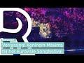 Koningin Máxima bij het Eurovisie Songfestival in Rotterdam Ahoy