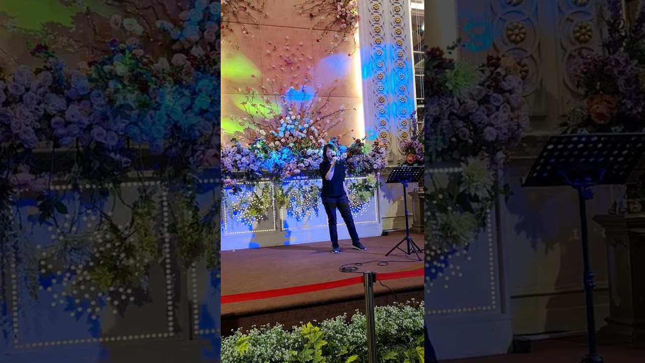 Sulih suara (dubbing, looping) - Professional voice over, audiobook narrator, and singer - 2