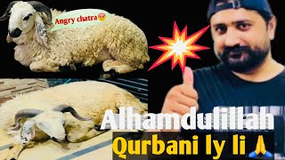 Allhamdulillah! Qurbani lay li,🙏🏻 But This Chatra Has Attitude!😠 @alivlog2267 @rajabbutt94