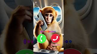 Download lagu monkey 🐒 #iphone #ringtone #calling #monkey #shortvideo #shorts mp3 Download lagu monkey 🐒 #iphone #ringtone #calling #monkey #shortvideo #shorts mp3