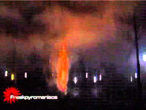 2004/2005 150mm shell Peony Crackling Pistil