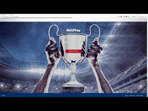 NetPlay: Mouse Accuracy and Reflex Training for Video Gamers