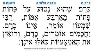 מסכת כלאים פרק ה משנה ב