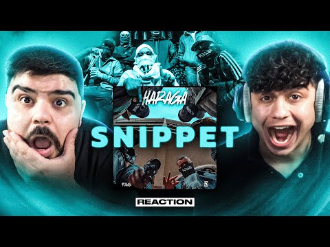 HOODBLAQ BRINGT ALBUM DES JAHRES RAUS! 🔥 HOODBLAQ - HARAGÁ (ALBUMSNIPPET) Reaction