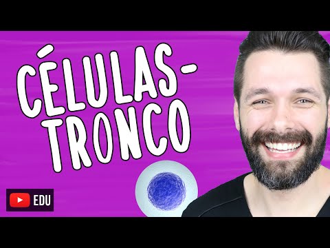 CÉLULAS-TRONCO - Tipos - Biotecnologia | Biologia com Samuel Cunha