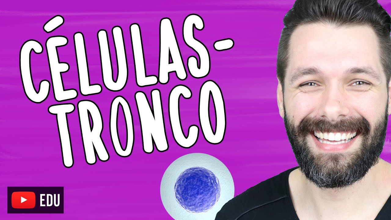 CÉLULAS-TRONCO - Tipos - Biotecnologia | Biologia com Samuel Cunha
