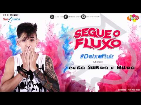 BANDA SEGUE O FLUXO (CEGO, SURDO E MUDO) VERÃO 2017 #DEIXAFLUIR