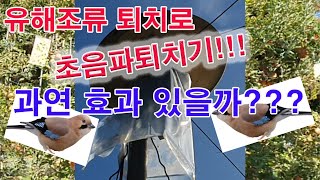 유해조류 퇴치로 초음파퇴치기 과연 효과 있을까?(과수 조류방제, 새쫓기, 조류 퇴치기, 초음파 퇴치기, 새 …