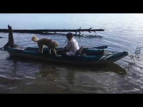 get the kayak and dog set right at our site