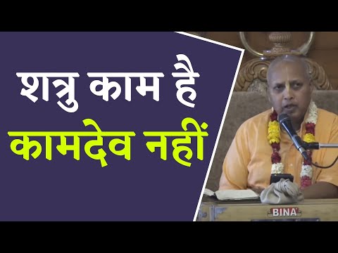 शत्रु काम है कामदेव नहीं  || HG Radha Damodara Prabhu || SB 5.18.15