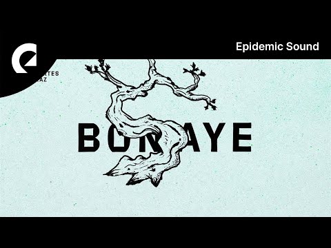 Bonsaye - Descartes