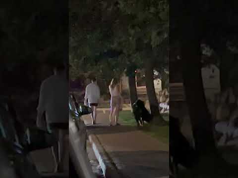 Couple with dog Ottawa Canada 🇨🇦