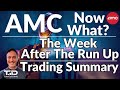AMC Now What - How I Traded last weeks AMC run up - and What Next?!