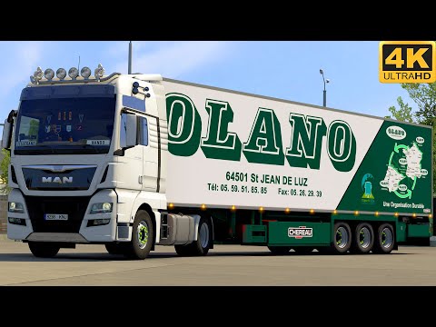 [G29] ETS2 (4K 60FPS) | MAN TGX E6 480 | ROSTOCK 🇩🇪 - OSNABRÜCK 🇩🇪