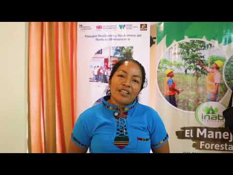 Beneficiarios de Valle de la Esmeralda  participan en entrega simboólica de incentivos forestales